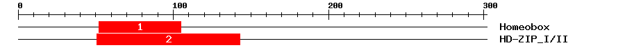 Signature Domain
