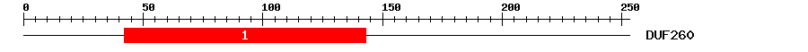 Signature Domain
