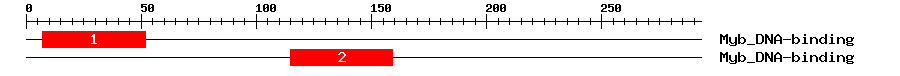 Signature Domain