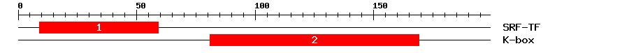 Signature Domain