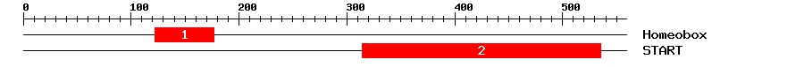 Signature Domain