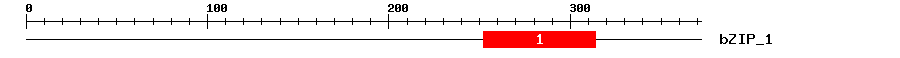 Signature Domain