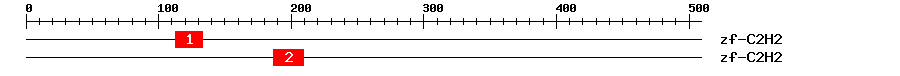 Signature Domain