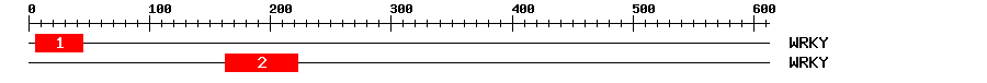 Signature Domain