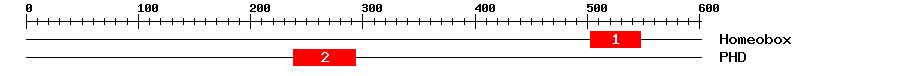 Signature Domain