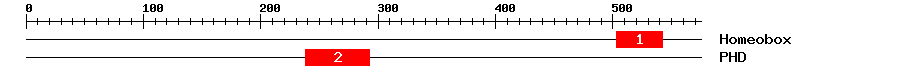 Signature Domain
