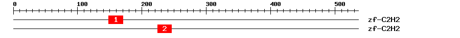 Signature Domain