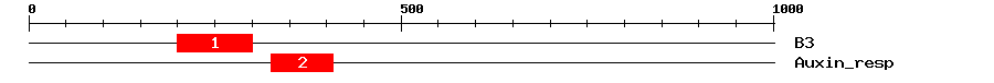 Signature Domain