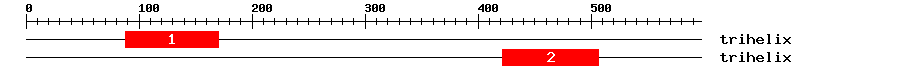 Signature Domain
