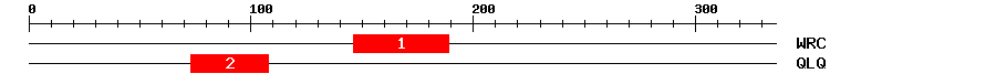Signature Domain