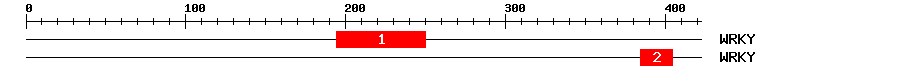 Signature Domain