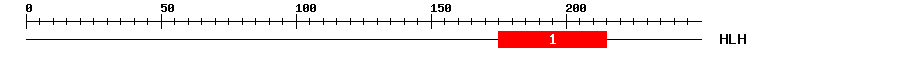 Signature Domain