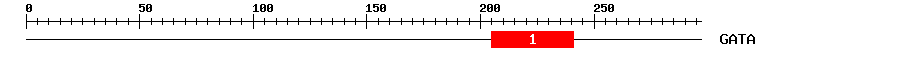 Signature Domain