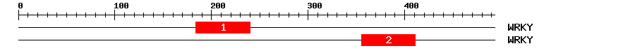 Signature Domain