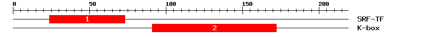 Signature Domain