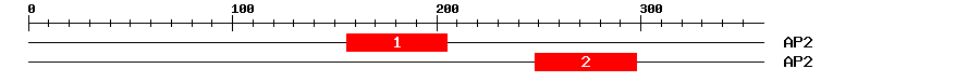 Signature Domain