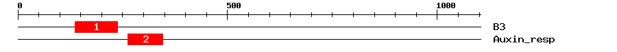 Signature Domain