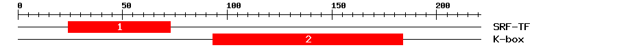 Signature Domain