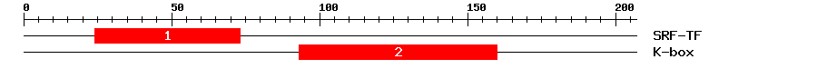 Signature Domain