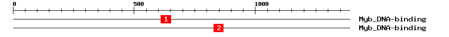 Signature Domain