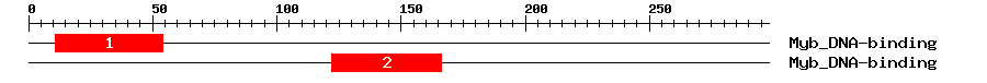 Signature Domain