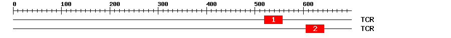Signature Domain
