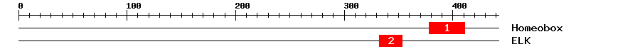 Signature Domain