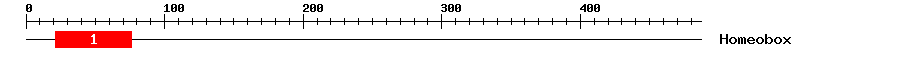 Signature Domain
