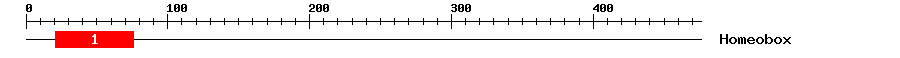 Signature Domain