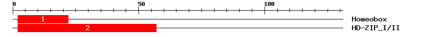 Signature Domain