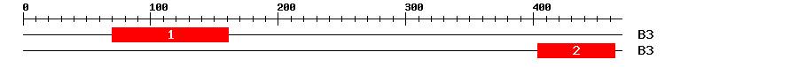Signature Domain