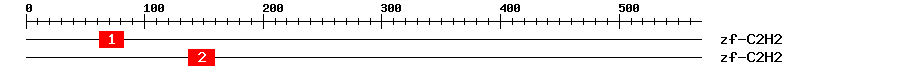 Signature Domain