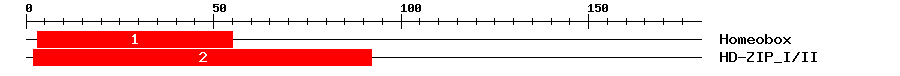 Signature Domain