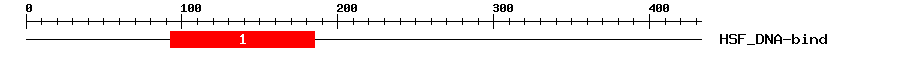 Signature Domain