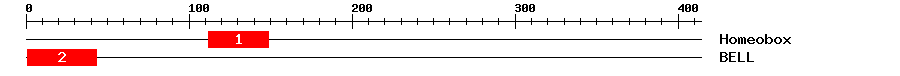 Signature Domain