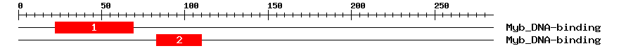 Signature Domain