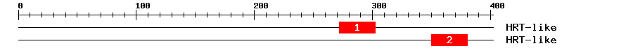 Signature Domain