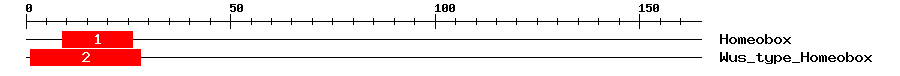 Signature Domain