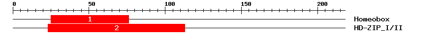 Signature Domain