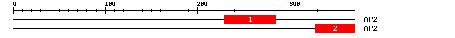 Signature Domain