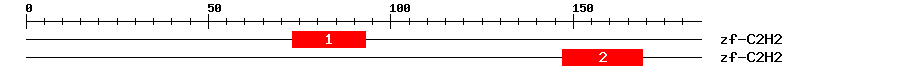 Signature Domain