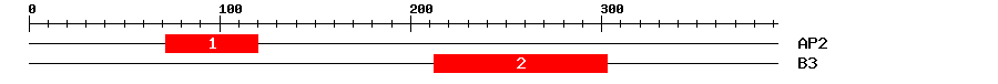Signature Domain