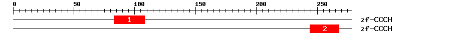 Signature Domain