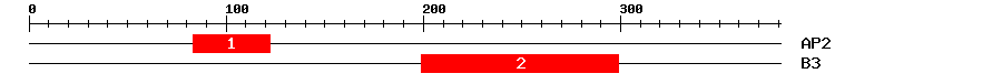 Signature Domain
