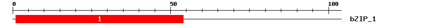 Signature Domain