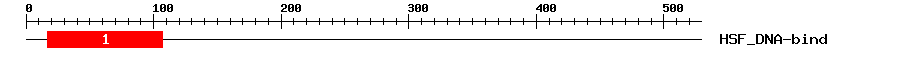 Signature Domain