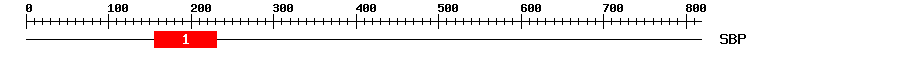 Signature Domain