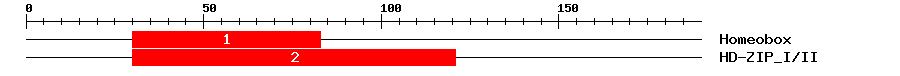 Signature Domain