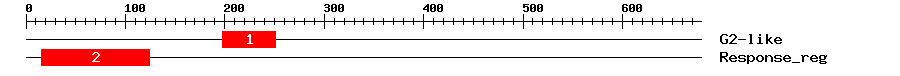 Signature Domain