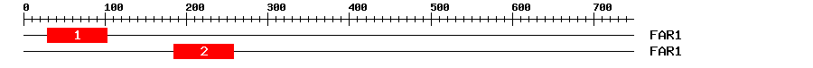 Signature Domain